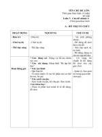 Giáo án phụ tuần 19 - Động vật sống dưới nước