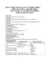 Giáo án Công nghệ 10 bài 36 Thực hành - Quan sát triệu chứng, bệnh tích của gà bị mắc bệnh Niu cát xơn (Newcastle) và cá trắm cỏ bị bệnh xuất huyết do vi rút | Lớp 10, Công Nghệ - Ôn Luyện