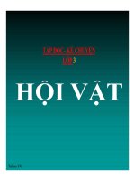 bài Kể chuyện - Hội vật | Ngữ văn, Lớp 3 - Ôn Luyện