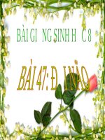 Soạn bài Đại não | Lớp 8, Sinh học - Ôn Luyện