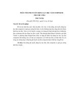 PHÂN TÍCH PHI TUYẾN ĐỘNG LỰC HỌC TẤM COMPOSITE POLYME 3 PHA