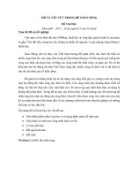 MÔ TẢ VẾT NỨT TRONG ĐÊ CHẮN SÓNG