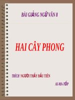 Hai cây phong | Ngữ văn, Lớp 8 - Ôn Luyện