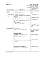 Giáo án phụ tuần 19 Thế giới thực vật