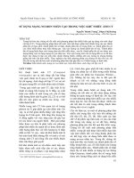 SỬ DỤNG MẠNG NƠ-RON NHÂN TẠO TRONG VIỆC KHỬ NHIỄU ẢNH CT