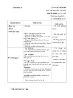 GIÁO ÁN TUẦN 19 CHỦ ĐỀ THẾ GIỚI THỰC VẬT