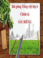 bài Nghe viết Sầu riêng | Ngữ văn, Lớp 4 - Ôn Luyện