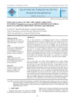 Sàng lọc In silico các mục tiêu thuốc tiềm năng ở vi khuẩn Staphylococcus aureus kháng Methicillin (MRSA) bằng các phương pháp phân tích dữ liệu protein