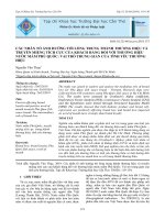 Các nhân tố ảnh hưởng tới lòng trung thành thương hiệu và truyền miệng tích cực của khách hàng đối với thương hiệu nước mắm Phú Quốc: Vai trò trung gian của tình yêu thương hiệu