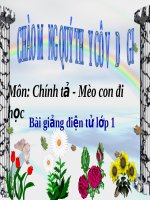 Bài giảng Chính tả Mèo con đi học - Tiếng Việt 1 | Ngữ văn, Lớp 1 - Ôn Luyện