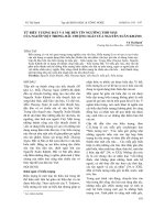 TỪ BIỂU TƯỢNG ĐẤT VÀ MẸ ĐẾN TÍN NGƯỠNG THỜ MẪU  CỦA NGƯỜI VIỆT TRONG MẪU THƯỢNG NGÀN CỦA NGUYỄN XUÂN KHÁNH