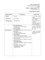 Giáo án phụ tuần 19 - Động vật sống dưới nước