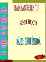 Soạn bài Chuyển hóa | Lớp 8, Sinh học - Ôn Luyện