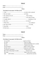 Bài tập chia động từ ở thì hiện tại đơn môn Tiếng Anh lớp 9 | Tiếng Anh, Lớp 9 - Ôn Luyện