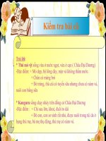 Sinh học 7- Tiết 50 - Bài 49: Đa dạng của lớp thú( Tiếp theo) - Bộ dơi và bộ cá voi