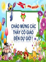 Mĩ thuật 6 - Tiết 8 - Bài 10: Vẽ trang trí màu sắc