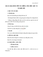 Giáo án Địa lý 8 bài 19 Địa hình với tác động của nội, ngoại lực | Lớp 8, Địa lý - Ôn Luyện