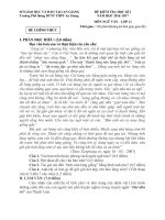 Đề thi học kì 1 môn Văn lớp 11 năm 2016 - 2017 THPT An Giang có đáp án | Ngữ văn, Lớp 11 - Ôn Luyện