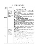   Bài tập ôn tập môn ngữ văn tuần nghỉ học khối 9