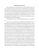 Xác định giá trị doanh nghiệp trường hợp tại Công ty cổ phần tập đoàn Hoa Sen