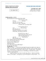 Đề thi HSG văn lớp 7 năm học 2017 – 2018 trường THCS Nguyễn Du có đán án