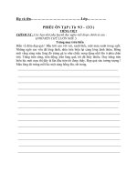 phieu on tap tieng viet 5 4 53202019