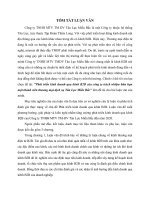 Phát triển kinh doanh qua kênh B2B của Công ty trách nhiệm hữu hạn một thành viên thương mại dịch vụ Tân lực Miền Bắc