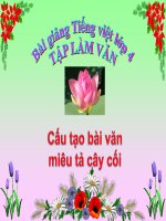 bài Cấu tạo bài văn miêu tả cây cối | Ngữ văn, Lớp 4 - Ôn Luyện