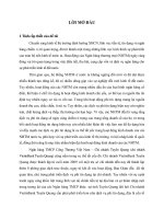 Phát triển dịch vụ phi tín dụng tại ngân hàng TMCP công thương Việt Nam chi nhánh Tuyên Quang