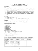 Giáo án chủ đề vật lí 8   nhiệt lượng 