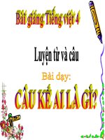 bài Luyện từ và câu - Câu kể Ai là gì- | Ngữ văn, Lớp 4 - Ôn Luyện