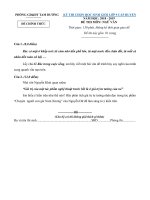 Đề thi chọn HSG ngữ văn lớp 9 năm học 2018 – 2019 huyện Tam Dương có đáp án