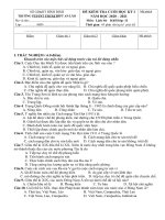 Đề thi học kì 1 môn Lịch sử 11 năm 2020-2021 có đáp án - Trường PTDTNT THCS&THPT An Lão