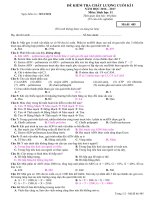 Đề thi học kì 1 môn Sinh lớp 11 chọn lọc có đáp án | Lớp 11, Sinh học - Ôn Luyện