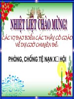 GDCD 8 - Tiết 20 - Bài 13: Phòng chống tệ nạn xã hội