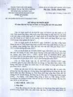 Tải về Kế hoạch phối hợp tổ chức hội thi Tin học trẻ năm 2020