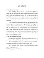 Phát triển dịch vụ thanh toán tại sở giao dịch ngân hàng đầu tư và phát triển Việt nam