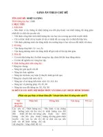 Giáo án chủ đề vật lí 8  chủ đề nhiệt lượng 