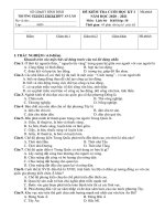 Đề thi học kì 1 môn Lịch sử 10 năm 2020-2021 - Trường PTDTNT THCS&THPT An Lão