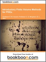 Introductory Finite Volume Methods for PDEs - eBooks and textbooks from bookboon.com