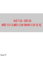 Miêu tả trong văn bản tự sự | Ngữ văn, Lớp 9 - Ôn Luyện