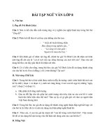   Bài tập ôn tập môn ngữ văn tuần nghỉ học khối 8