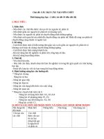 Giáo án chủ đề vật lí 8  các hạt cấu tạo nên chất 