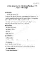 Giáo án Địa lý 8 bài 40 Thực hành Đọc lát cắt địa lí tự nhiên tổng hợp | Lớp 8, Địa lý - Ôn Luyện