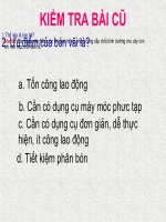 Lớp 7 - Tiết 9 - Bài 10 - Vai trò của giống và phương pháp chọn tạo giống cây trồng