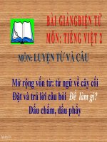 bài Luyện từ và câu - Mở rộng vốn từ Từ ngữ về cây cối, đặt và trả lời câu hỏi Để làm gì- dấu chấm, dấu phẩy | Ngữ văn, Lớp 2 - Ôn Luyện