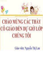 Sinh học 7 - Tiết 63 - Bài 60: Động vật quý hiếm