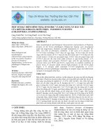 MỘT SỐ ĐẶC ĐIỂM HÌNH THÁI, SINH HỌC VÀ KHẢ NĂNG ĂN RẦY NÂU CỦA KIẾN BA KHOANG ĐUÔI NHỌN, PAEDERUS FUSCIPES (COLEOPTERA: STAPHYLINIDAE)