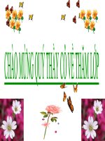 Lớp 7 - Tiết 20 - Bài 19 - Các biện pháp chăn sóc cây trồng