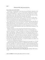 Tổng hợp 40 đề dọc hiểu môn Ngữ Văn